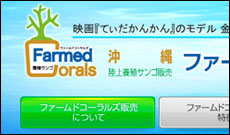 Web 03